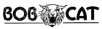 Hinsdale Bob Cat Logo
