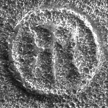 [Logo Image for HTM-Circle]